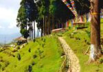 Darjeeling-offbeat